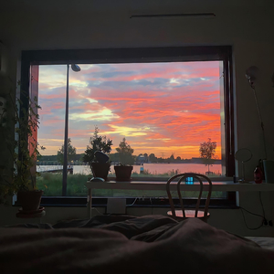 一级A片不卡在线观看
