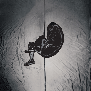 一级A片不卡在线观看
