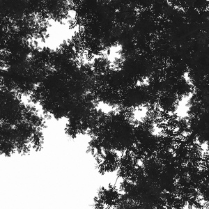 一级A片不卡在线观看
